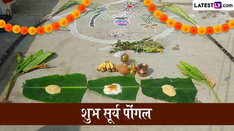 Surya Pongal 2026 Wishes: सूर्य पोंगल के इन शानदार हिंदी WhatsApp Status, GIF Greetings, HD Images, Wallpapers के जरिए दें बधाई