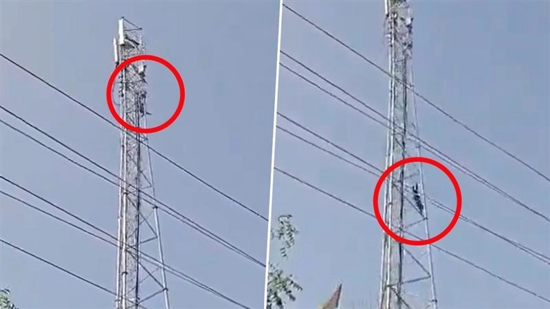 कन्नौज में 'शोले' स्टाइल ड्रामा का खौफनाक अंत: शादी की जिद पर मोबाइल टावर पर चढ़ा युवक, नीचे गिरने से मौत (Watch Video)