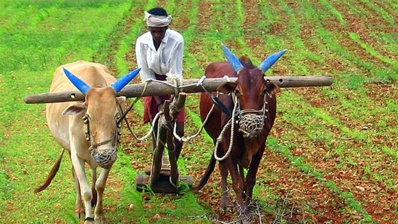 PM Kisan 22nd Installment Date: पीएम किसान योजना को लेकर बड़ा अपडेट, होली से पहले जारी हो सकती है 22वीं किस्त; pmkisan.gov.in पर ऐसे पूरा करें e-KYC