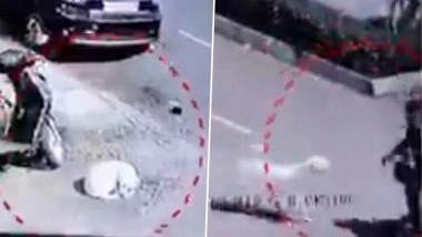 Stray Dogs Attack: डोंबिवली के पलावा सिटी में मासूम बच्ची पर आवारा कुत्तों के झुंड का हमला, गार्ड ने बचाई जान; CCTV में कैद VIDEO वायरल