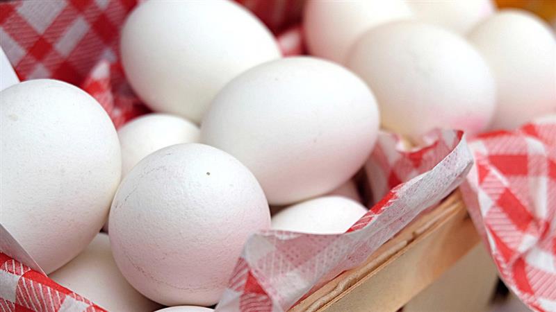 सऊदी अरब का बड़ा फैसला: भारत समेत 40 देशों से पोल्ट्री उत्पादों के आयात पर रोक