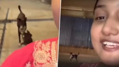 'Sheru Bhai' नाम का आवारा कुत्ता बना महिला का रक्षक, आधी रात अकेली घर लौट रही महिला को छोड़ता दिखा; वायरल VIDEO ने जीता लोगों का दिल