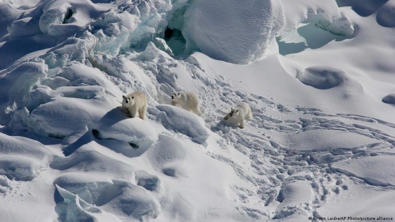 ग्रीनलैंड को लेकर राजनीतिक तनाव से खासे चिंतित हैं वैज्ञानिक