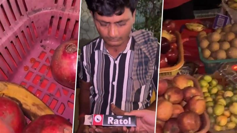 Viral Video: मुंबई के मालाड में शर्मनाक करतूत, फलों पर 'रैटोल' पेस्ट लगाते पकड़ा गया फल विक्रेता; चूहे मारने की दवा से हो सकता है लिवर डैमेज