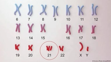 प्रेग्नेंसी में ब्लड टेस्ट पर जर्मन संसद में क्यों छिड़ी बहस