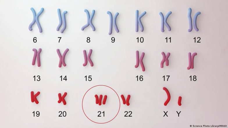 प्रेग्नेंसी में ब्लड टेस्ट पर जर्मन संसद में क्यों छिड़ी बहस