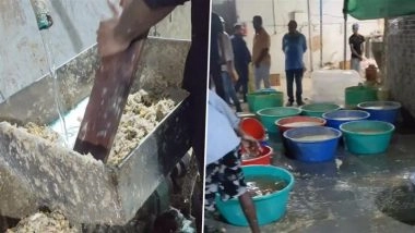 हैदराबाद: मिलावटी अदरक-लहसुन का पेस्ट बनाने और बेचने के आरोप में एक व्यक्ति गिरफ्तार (Watch Video)