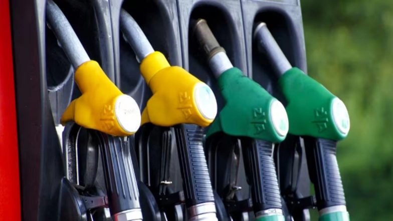 Petrol-Diesel Excise Duty Cut: सरकार के फैसले का BJP सांसदों ने किया स्वागत, आम जनता को राहत का दावा