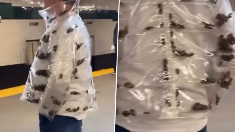 VIRAL VIDEO: अमेरिका के न्यूयॉर्क सबवे में दिखा अजीब नजारा, जिंदा कॉकरोच वाली जैकेट पहनकर मेट्रो पहुंचा शख्स; देखकर लोग हैरान