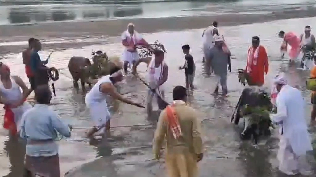 असम में 'गोरु बिहू' की धूम, लखीमपुर और पूरे राज्य में पारंपरिक उत्साह के साथ मवेशियों की हुई पूजा; देखें VIDEO