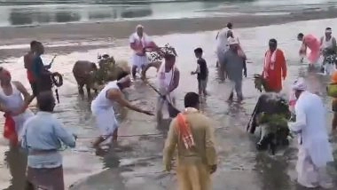 Goru Bihu 2026: असम में 'गोरु बिहू' की धूम, लखीमपुर और पूरे राज्य में पारंपरिक उत्साह के साथ मवेशियों की हुई पूजा; देखें VIDEO