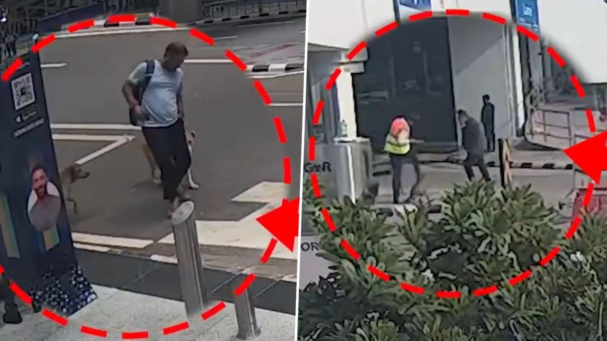 Delhi Airport Dog Attacks: दिल्ली हवाई अड्डे पर आवारा कुत्तों के हमले बढ़ने के बाद DIAL की एडवाइजरी: यात्रियों से जानवरों को खाना न खिलाने की अपील