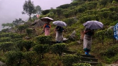 पश्चिम बंगाल-पहले चरण के मतदान में निगाहें चाय मजदूरों पर