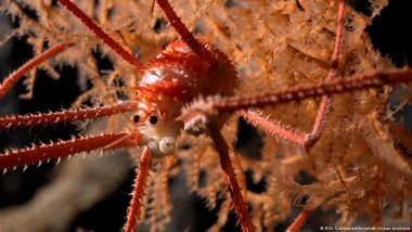 क्यों दुखद है बिना अपनी पहचान बनाए किसी जीवन का मिट जाना