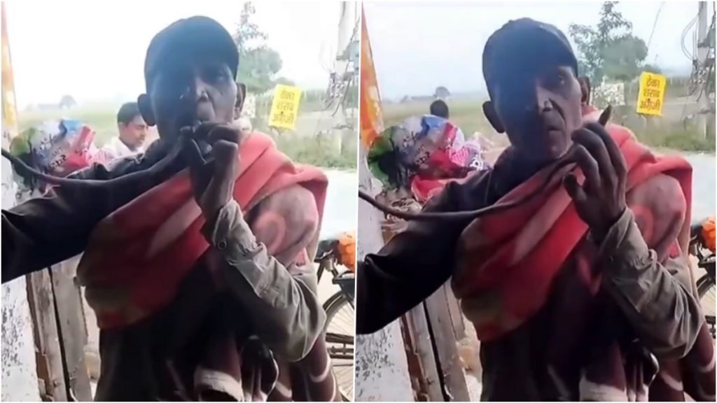 करनाल में कोबरा का सिर मुंह में डालना पड़ा भारी, सांप के डसने से शख्स की तड़प कर मौत;  देखें वायरल VIDEO