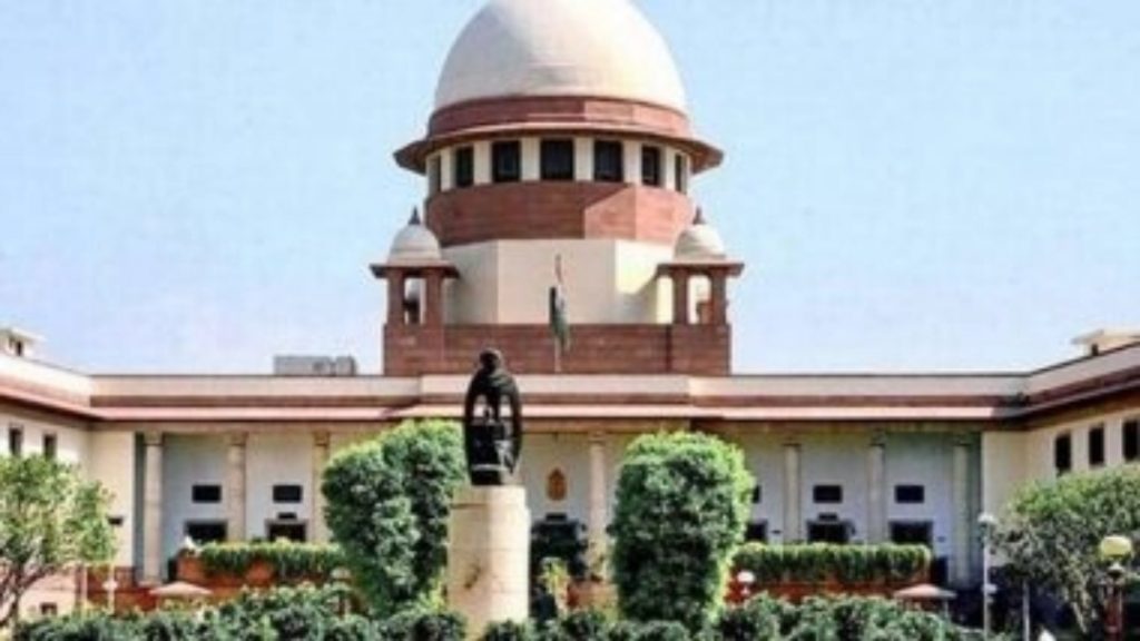 सुप्रीम कोर्ट का बड़ा फैसला, सार्वजनिक जगहों से हटाए जाएंगे आवारा कुत्ते, डॉग लवर्स की याचिका खारिज