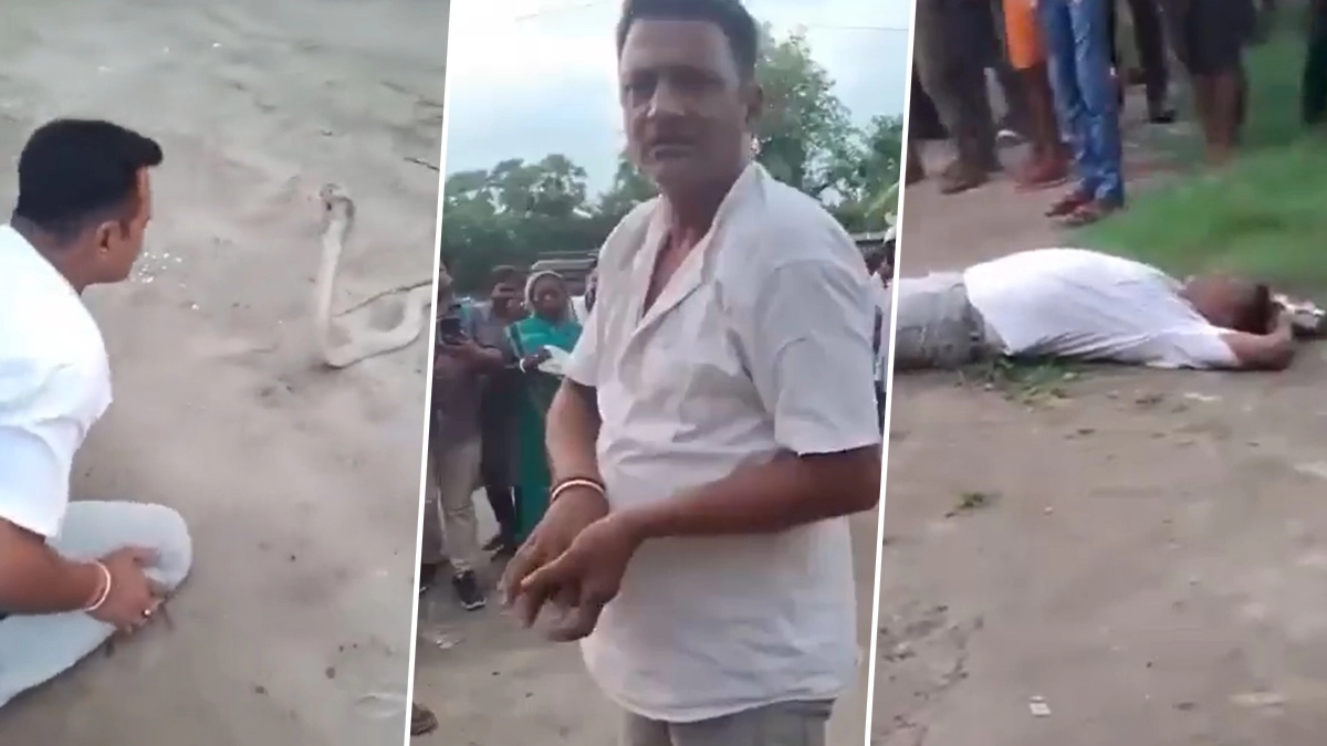 Snake Catcher Dies Of Snakebite On Camera: सांप पकड़ने वाले युवक की ऑन कैमरा मौत का दावा, वायरल वीडियो ने बढ़ाई सुरक्षा को लेकर चिंता