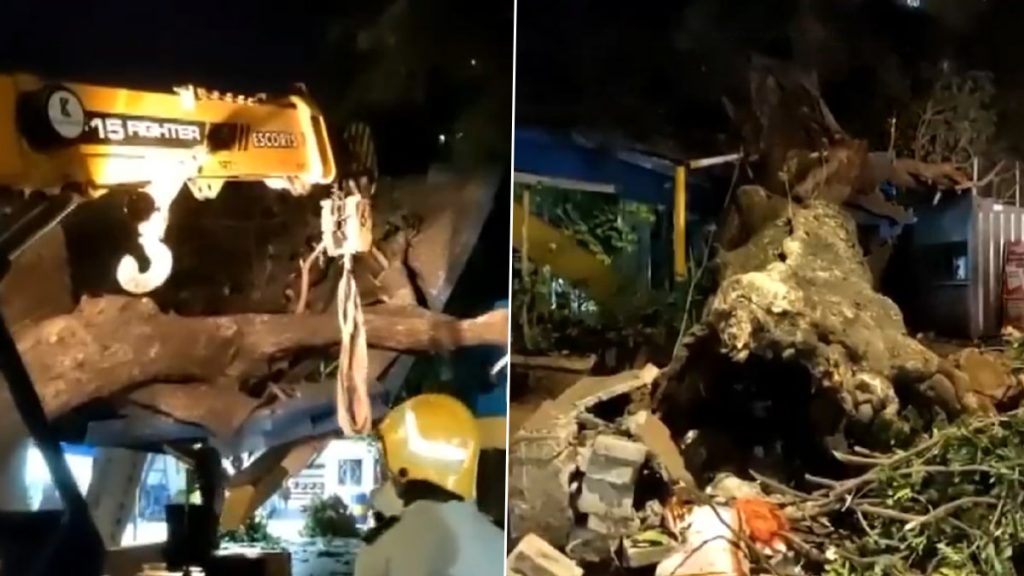 खार में निर्माणाधीन साइड से रिक्शा पर गिरा पेड़, दो महिलाएं गंभीर रूप से घायल; VIDEO