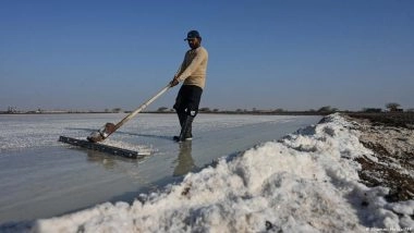 बिना पंखे और पेड़ों की छांव के कैसे जानलेवा हालात में काम करते हैं नमक बनाने वाले मजदूर