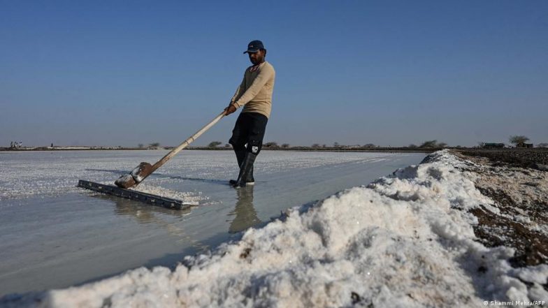 बिना पंखे और पेड़ों की छांव के कैसे जानलेवा हालात में काम करते हैं नमक बनाने वाले मजदूर