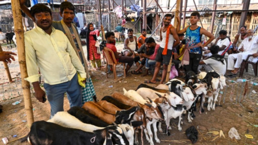 जमीयत उलेमा-ए-हिंद ने बकरीद के लिए दिशानिर्देश जारी किए; लोगों से कानून का पालन करने और साफ-सफाई बनाए रखने की अपील की
