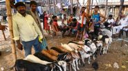 Bakrid 2026: जमीयत उलेमा-ए-हिंद ने जारी की गाइडलाइन; कानून का पालन करने, स्वच्छता बनाए रखने और सोशल मीडिया पर वीडियो न डालने की अपील Bakrid 2026: जमीयत उलेमा-ए-हिंद ने जारी की गाइडलाइन; कानून का पालन करने, स्वच्छता बनाए रखने और सोशल मीडिया पर वीडियो न डालने की अपील