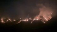 हिमाचल प्रदेश के सोलन में भीषण दावानल: क्यारीघाट गांव के जंगलों में भड़की आग, पहाड़ियों पर उठा धुएं का गुबार; छोटा शिमला की दुकान में भी लगी आग (Watch Videos)