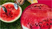 Mumbai Watermelon Death Case: मुंबई 'तरबूज मौत' मामले में जांच तेज, चूहे मारने वाले जहर की पड़ताल के लिए मृतक परिवार के बर्तन फोरेंसिक लैब भेजे गए