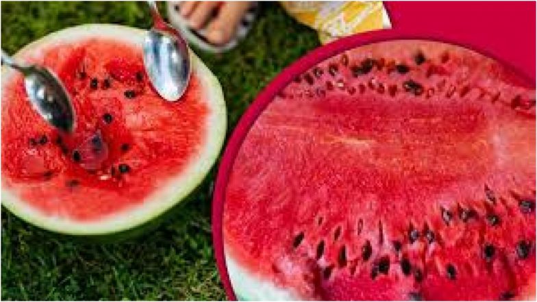 Mumbai Watermelon Death Case: मुंबई 'तरबूज मौत' मामले में जांच तेज, चूहे मारने वाले जहर की पड़ताल के लिए मृतक परिवार के बर्तन फोरेंसिक लैब भेजे गए