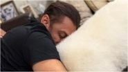Salman Khan Expresses Love For Pets: सलमान खान का बेजुबान जानवरों के प्रति अटूट प्रेम, सोशल मीडिया पर पेट्स की प्यारी सी फोटो शेयर कर लिखा- 'ये है सुख'