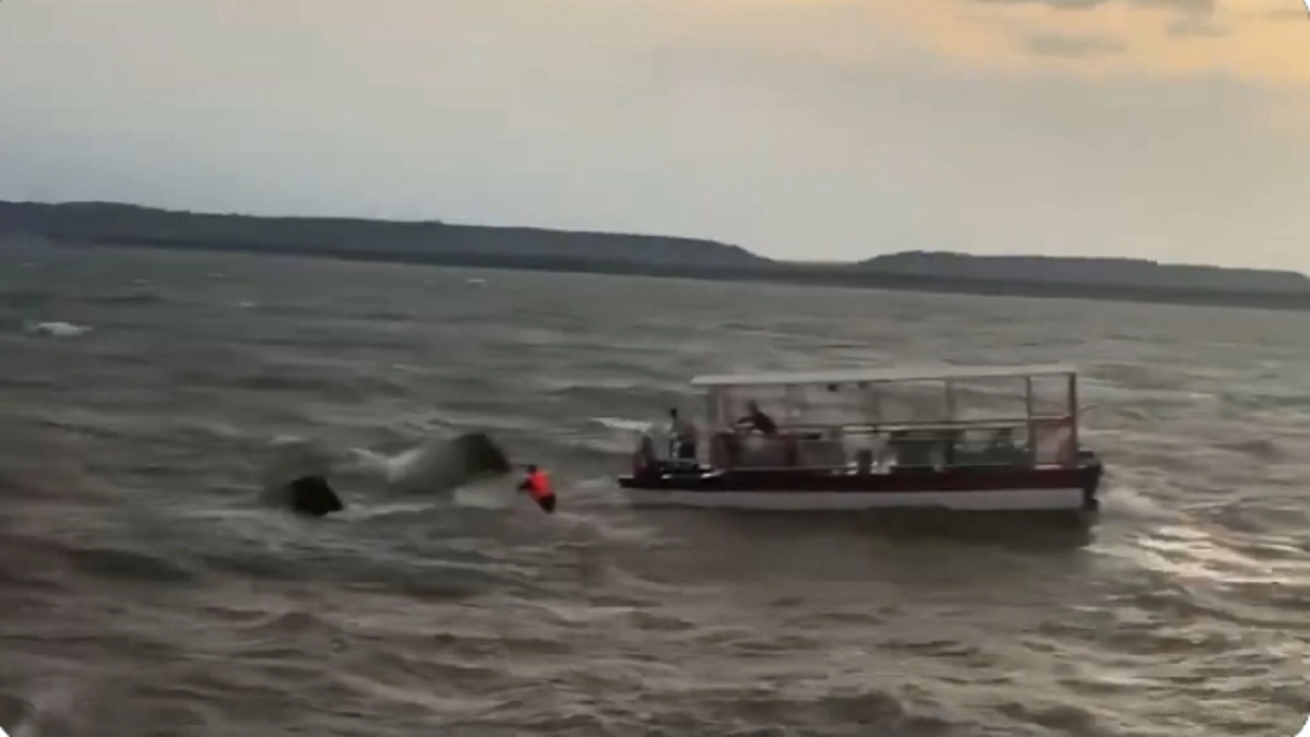 Jabalpur Cruise Accident: जबलपुर के बरगी बांध हादसे पर कोर्ट का सख्त रुख, क्रूज चालक और चालक दल के सदस्यों के खिलाफ FIR दर्ज करने के आदेश