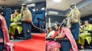 Viral Video: गुजरात में जनगणना 2026 की कार्यशाला में अचानक पहुंचा बंदर, कर्मचारियों के बगल में बैठकर सुनी ट्रेनिंग