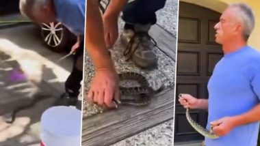 RFK Jr Snake Catching Viral Video: अमेरिकी स्वास्थ्य मंत्री रॉबर्ट एफ. कैनेडी जूनियर का सांप पकड़ने का वीडियो वायरल; जहरीले रैटलस्नेक को काबू करने का नया क्लिप किया साझा