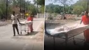 VIDEO: इंदौर के सरकारी अस्पताल में नहीं मिली एम्बुलेंस सुविधा, कड़ी धूप में बेटे को स्ट्रेचर पर ले जाने को मजबूर हुए माता-पिता; वीडियो वायरल होने पर लोग भड़के VIDEO: इंदौर के सरकारी अस्पताल में नहीं मिली एम्बुलेंस सुविधा, कड़ी धूप में बेटे को स्ट्रेचर पर ले जाने को मजबूर हुए माता-पिता; वीडियो वायरल होने पर लोग भड़के