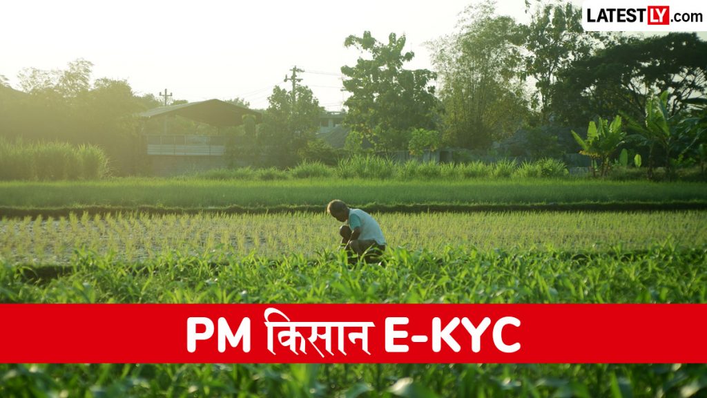 पीएम किसान योजना की अगली किस्त की तैयारी शुरू, e-KYC अनिवार्य; न करने पर रुक सकती है किस्त