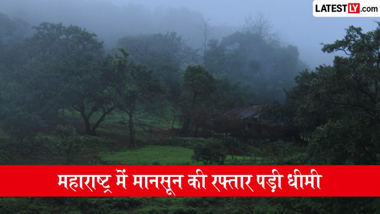 Maharashtra Monsoon Update: महाराष्ट्र में मानसून की रफ्तार पड़ी धीमी, IMD का पूर्वानुमान, 24-25 जून से बारिश होने की उम्मीद