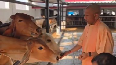 गोरखपुर: मुख्यमंत्री योगी आदित्यनाथ ने गोरखनाथ मंदिर में की 'गौ सेवा', सोशल मीडिया पर VIDEO वायरल