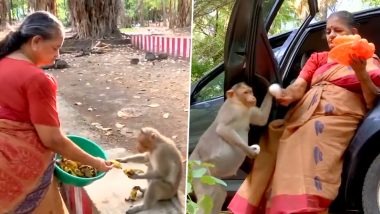 VIRAL VIDEO: इंसानियत की मिसाल! तमिलनाडु के मदुरै में 76 वर्षीय रिटायर्ड पुलिस अधिकारी अपनी पेंशन से हर हफ्ते सैकड़ों बंदरों को खिलाती हैं भोजन