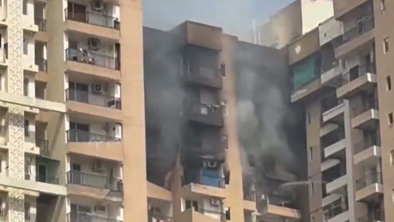Aranya Society Fire Video: नोएडा की अरण्य सोसाइटी में 'AC ब्लास्ट' से हड़कंप, 21वीं मंजिल पर लगी भीषण आग