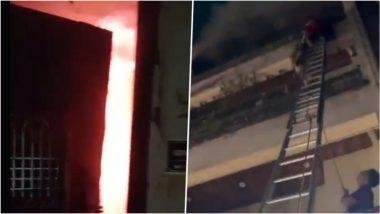 Ghaziabad Fire: गाजियाबाद के अवंतिका कॉलोनी के आवासीय अपार्टमेंट में लगी भीषण आग, 4 लोगों को बचाया गया, 3 पालतू कुत्तों की मौत; VIDEOS