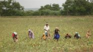 PM Kisan 23rd Instalment Date: कब आएगी पीएम किसान योजना की 23वीं किस्त? जानें ₹2,000 पाने के लिए किन जरूरी कामों को करना है पूरा