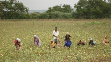 PM Kisan 23rd Instalment Date: कब आएगी पीएम किसान योजना की 23वीं किस्त? जानें ₹2,000 पाने के लिए किन जरूरी कामों को करना है पूरा