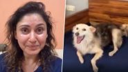 Mumbai Dog Cruelty: मढ़ आइलैंड की सोसाइटी में 'मिकी' नामक बेजुबान की पीट-पीटकर बेरहमी से हत्या, रो पड़ीं अभिनेत्री मंजरी फड़नीस (Watch Video) Mumbai Dog Cruelty: मढ़ आइलैंड की सोसाइटी में 'मिकी' नामक बेजुबान की पीट-पीटकर बेरहमी से हत्या, रो पड़ीं अभिनेत्री मंजरी फड़नीस (Watch Video)