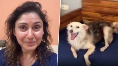 Mumbai Dog Cruelty: मढ़ आइलैंड की सोसाइटी में 'मिकी' नामक बेजुबान की पीट-पीटकर बेरहमी से हत्या, रो पड़ीं अभिनेत्री मंजरी फड़नीस (Watch Video)