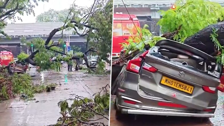 Mumbai Monsoon Havoc: मुंबई में भारी बारिश का कहर; दादर में कार पर गिरा पेड़, अंधेरी सबवे बंद और कई इलाकों में भारी जलभराव (watch Videos)