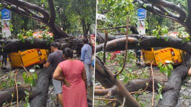 Chembur Tree Collapse: मुंबई के चेंबूर में बड़ा हादसा, स्कूल बस पर गिरा भारी पेड़;11 वर्षीय छात्र की मौत, कई अन्य घायल (See Pics)