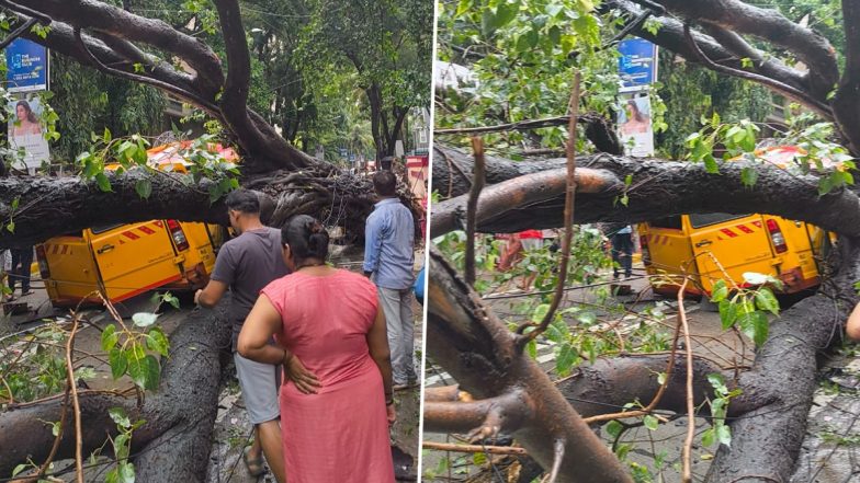Chembur Tree Collapse: मुंबई के चेंबूर में बड़ा हादसा, स्कूल बस पर गिरा भारी पेड़;11 वर्षीय छात्र की मौत, कई अन्य घायल (See Pics)