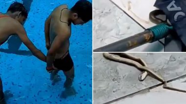 Orai Swimming Pool Video: स्विमिंग पूल में नहाते समय युवक के अंडरवियर में घुसा सांप; दोस्तों ने ऐसे बचाई जान, रोंगटे खड़े कर देने वाला वीडियो वायरल