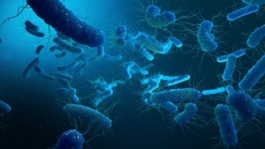 Kerala Shigella Outbreak: केरल में 'शिगेला' बैक्टीरिया का कोहराम; मासूम बच्चे की मौत के बाद स्वास्थ्य विभाग ने जारी किया हाई अलर्ट