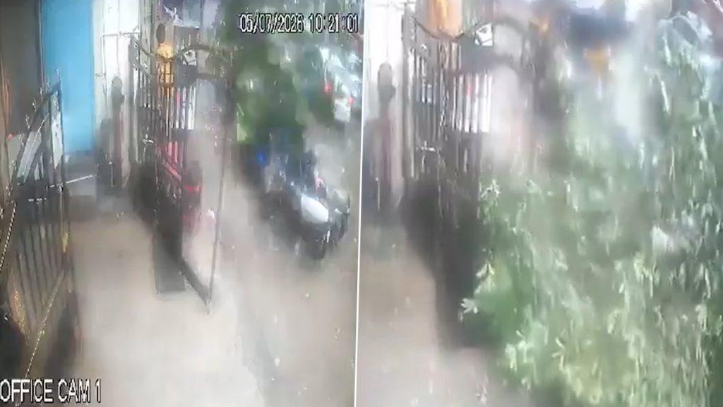 Mumbai Rains Accident: मुंबई में भारी बारिश के बीच बड़ा हादसा, कुर्ला में दुकान पर गिरा विशालकाय पेड़; मलबे में दबकर 63 वर्षीय बुजुर्ग की मौत; CCTV में VIDEO कैद